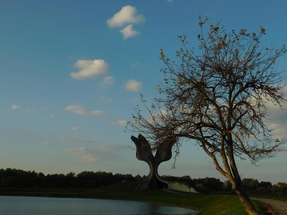 Kod Ribica Bed and Breakfast Jasenovac Buitenkant foto