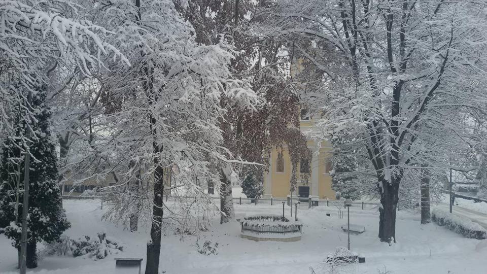 Kod Ribica Bed and Breakfast Jasenovac Buitenkant foto